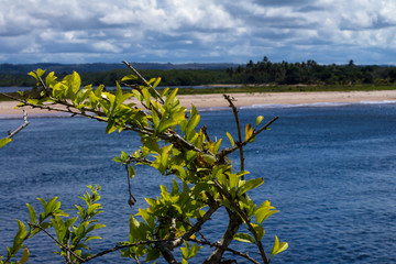 Calm beach of Brazil. The sea and the clouds merge on the horizon.