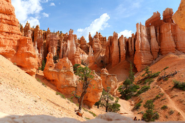 Bryce Canyon National Park is a United States National Park in Utah's Canyon Country. The...