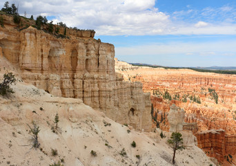 Fototapeta premium Bryce Canyon National Park is a United States National Park in Utah's Canyon Country. The spectacular Bryce Canyon - not actually a canyon, but rather a giant natural amphitheater created by erosion.