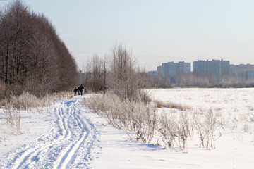 Ski trail