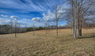 "The Grove in Winter" ZDS Americana Landscapes Collection