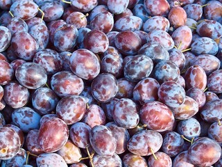 Macro of a pile of ripe plums