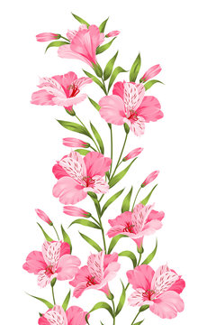 Alstromeria pink branch isolated on white. Tropical background. Beautiful alstroemeria for your personal design. Vector illustration.
