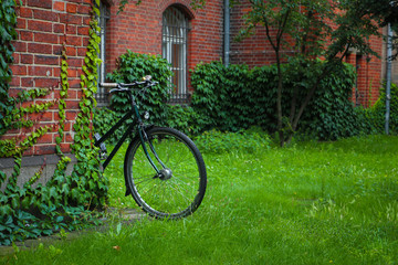 Fototapeta premium An antique green backyard of the garden with retro bicycle, ivy on the brick wall. The house or mansion is an old build. It can be used as vintage concept, wallpaper, decorative idea, etc.