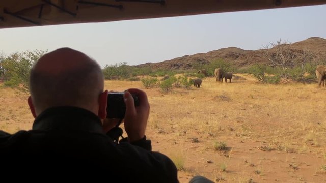 photographing elephants Namibia