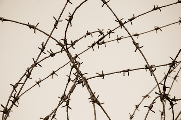 Fototapeta na wymiar Rusty barbed wire against sky. War and imprisonment concepts. Sepia photo.