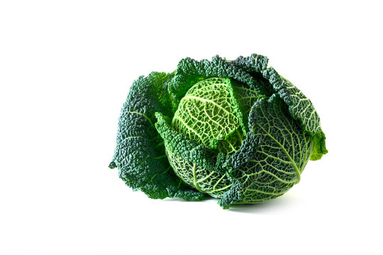 green savoy cabbage, a healthy winter vegetable, whole head isolated on a white background