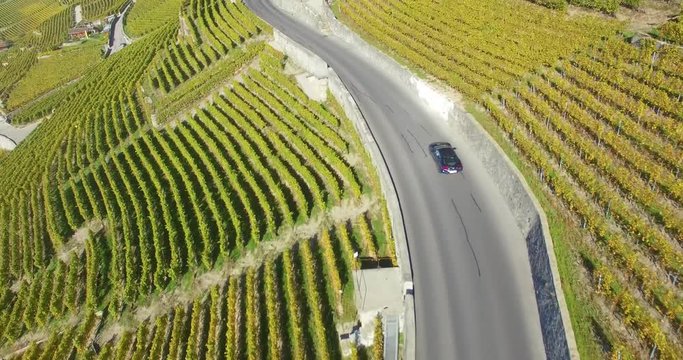 Drone lavaux vineyard  