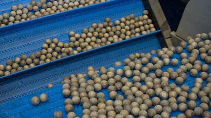 Raw Nuts being processed and roasted by a machine