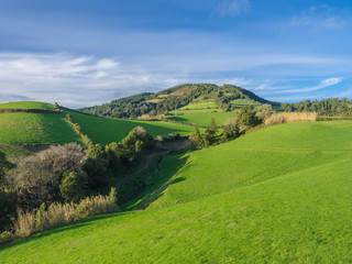 Lush green grass hills with fields and pastures, blue sky and white clouds, typical landscape of Sao Miguel island, Azores, Portugal