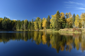 Fototapeta premium miroir d'automne au Québec