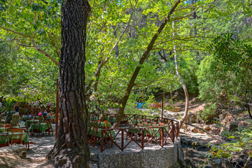 Natural spring in forest at Epta Piges. Rhodes, Greece, Dodecanese.