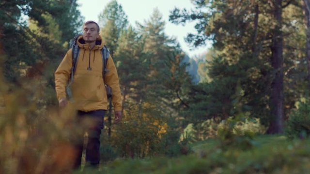 Adult man carrying backpack and walking alone in picturesque seasonal forest  