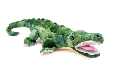 Green soft stuffed toy Crocodile isolated on white background.