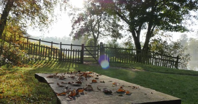 Autumn colors in Hardwick Park, Derbyshire, England, United Kingdom, Europe 