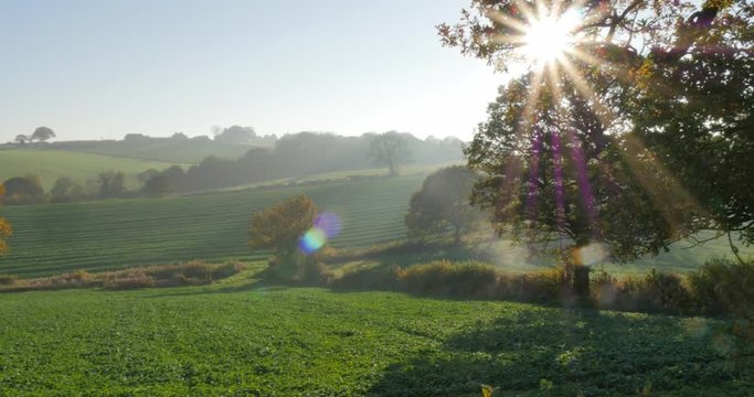 Autumn colors near Hardwick Park, Derbyshire, England, United Kingdom, Europe  