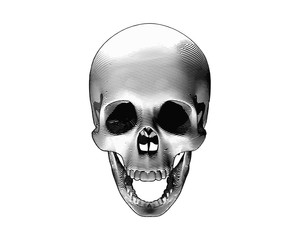 Skull screaming pose illustration isolated on white BG