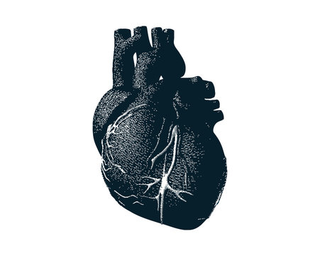 Monochrome human heart with dot drawing style