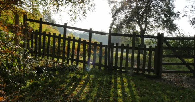 Autumn colors in Hardwick Park, Derbyshire, England, United Kingdom, Europe 