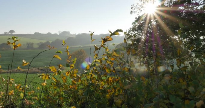 Autumn colors near Hardwick Park, Derbyshire, England, United Kingdom, Europe  