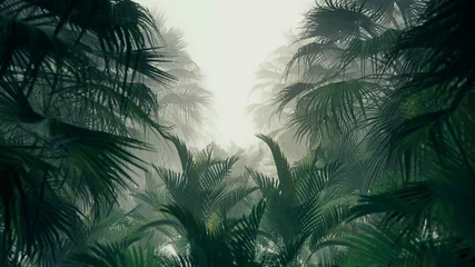 Foto op Canvas 3D illustratie Achtergrond voor reclame en behang in jungle scene. 3D-rendering in decoratief concept © urzine