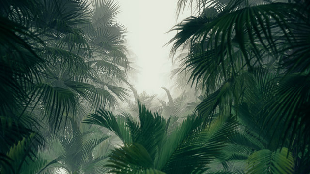 Fototapeta 3D illustration Background for advertising and wallpaper in jungle scene. 3D rendering in decorative concept 