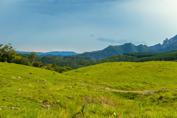 View of the region of Grao Para, with forest and mountains of the Geral Serra in the background, Santa Catarina, Brazil