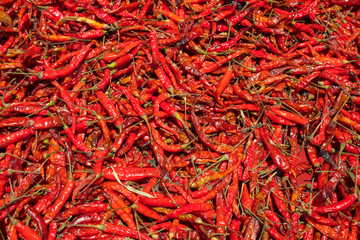 Fototapeta premium Chilis on Display