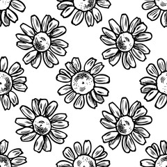 Seamless pattern with black and white chamomile