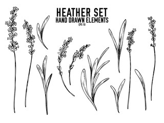 Vector collection of hand drawn black and white heather