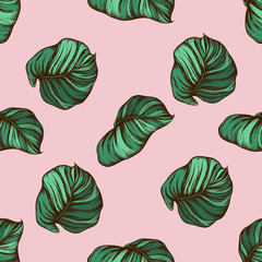 Seamless pattern with hand drawn colored philodendron, calathea