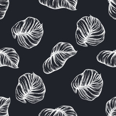 Seamless pattern with hand drawn chalk philodendron, calathea