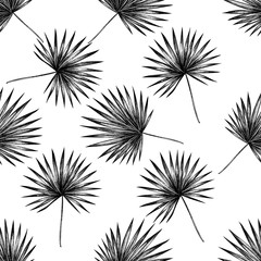 Seamless pattern with black and white trachycarpus