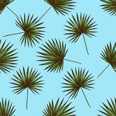 Seamless pattern with hand drawn colored trachycarpus