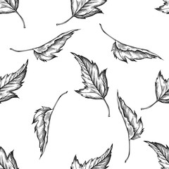 Seamless pattern with black and white maple