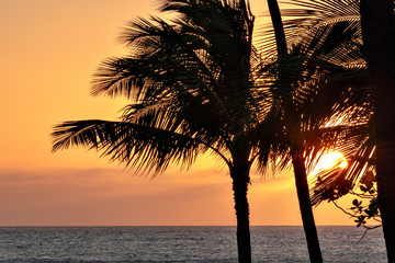 Sunset in Hawaii