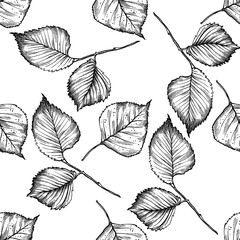 Seamless pattern with black and white birch