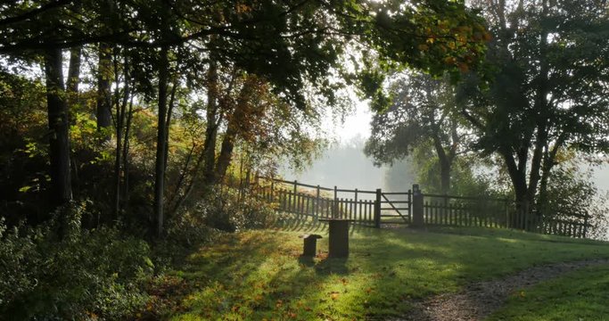Autumn colors in Hardwick Park, Derbyshire, England, United Kingdom, Europe 