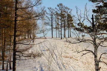 Fototapeta premium Nature Reserve Stolby