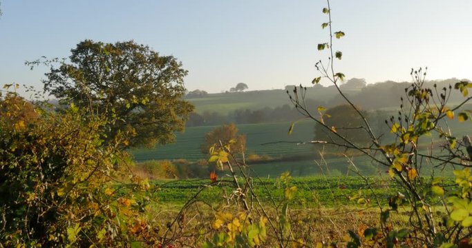 Autumn colors near Hardwick Park, Derbyshire, England, United Kingdom, Europe  