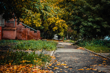 Naklejka premium Autumn in the city