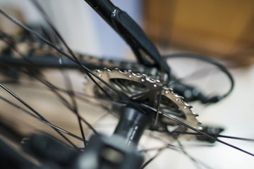 Fototapeta na wymiar Bicycle rear wheel with sprockets and disc break 