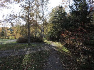 Fototapeta premium automne a Matane