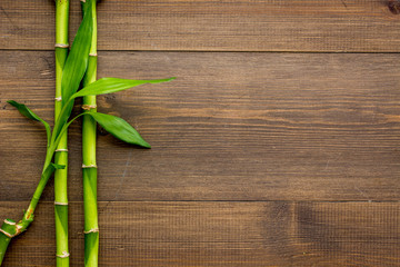Asian background. Green bamboo branches on dark wooden background top view copy space