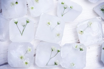 small, white flowers in ice cubes on a white background
