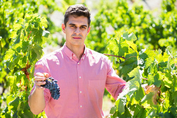 worker at grape farm
