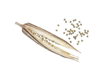 Dried okra isolated on white background.