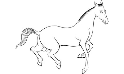 horse in Thai tradition painting,Thai tattoo, vector