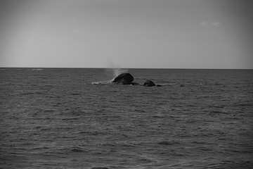 Rocher en pleine mer .