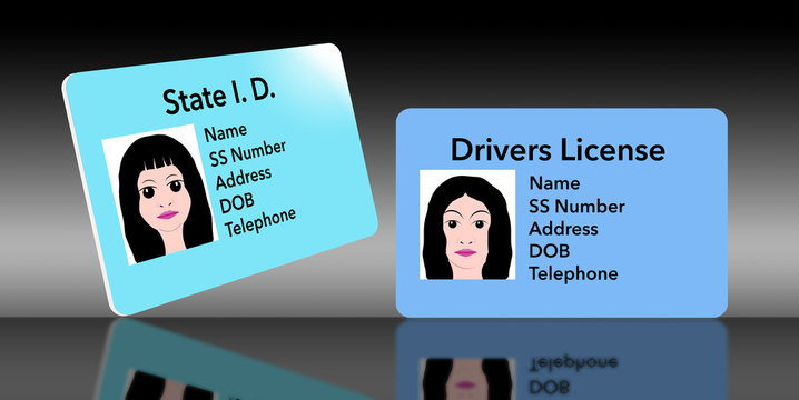 Here is an illustration of a state identification card that is used for youngsters. A young girl's ID is seen next to her mom's drivers license.